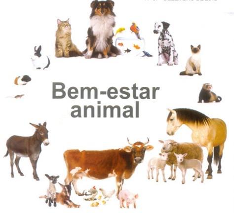 O bem-estar animal no Brasil e no mundo É um dos assuntos mais discutidos atualmente na produção animal.