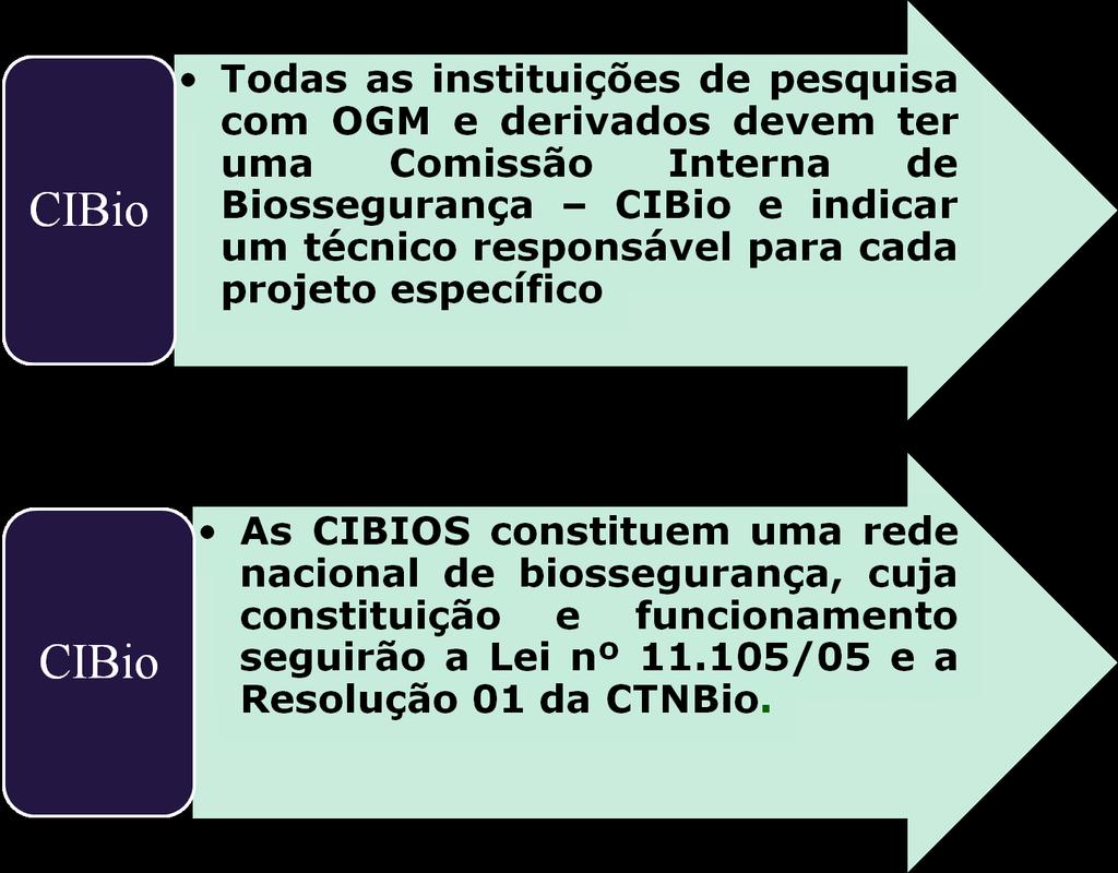 Comissão Interna de Biossegurança - CIBio-