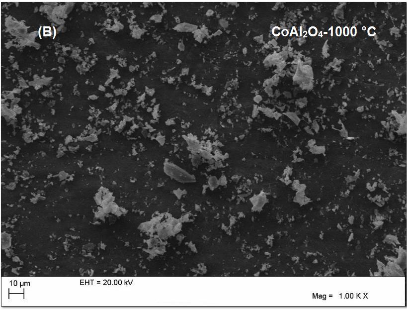 Figura 11- Micrografias eletrônicas de varredura para o pó precursor de CoAl 2O 4 calcinado a 1000 C. (B) 1000 x (B ) 5000 x.