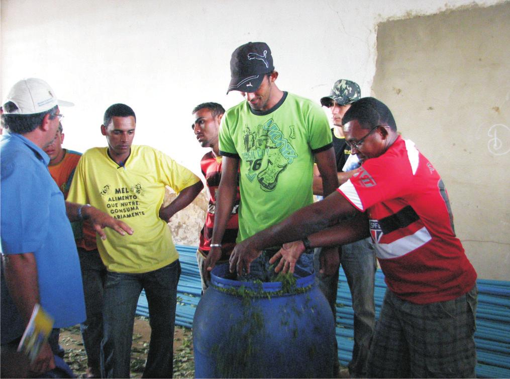 4 Implantação e manejo de legumineira com gliricídia (Gliricidia sepium) - Triturar o material em forrageira sem a peneira para Referências evitar embuchamento.