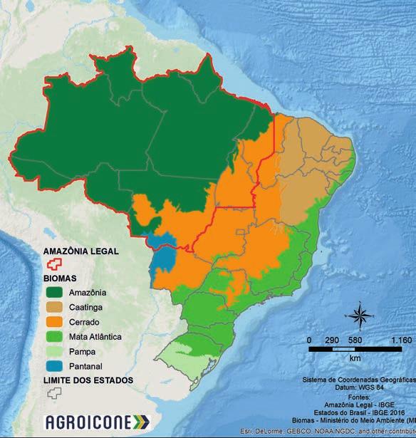 BIOMAS BRASILEIROS E LEI DE PROTEÇÃO DA VEGETAÇÃO NATIVA (Lei federal n o 12.