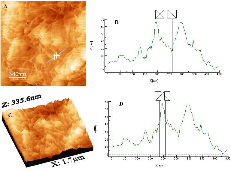 Figura 19: AFM das NG: A- micrografia de AFM das NG no plano; B- distância