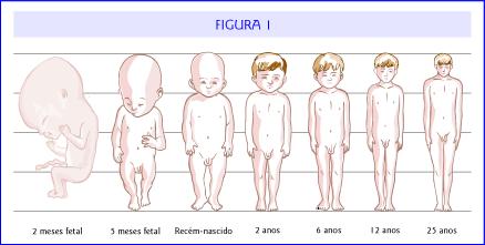 Crescimento diferente das partes corporais Calendário Básico de Consultas de Puericultura Entre o terceiro e sétimo dia Pediatra 1 mês