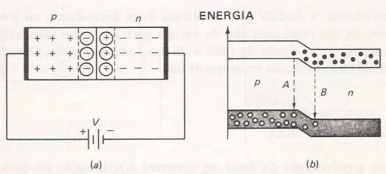 Polarização Direta o Na polarização direta, o terminal positivo da fonte é ligado ao material tipop, e o terminal negativo ao material tipo-n.
