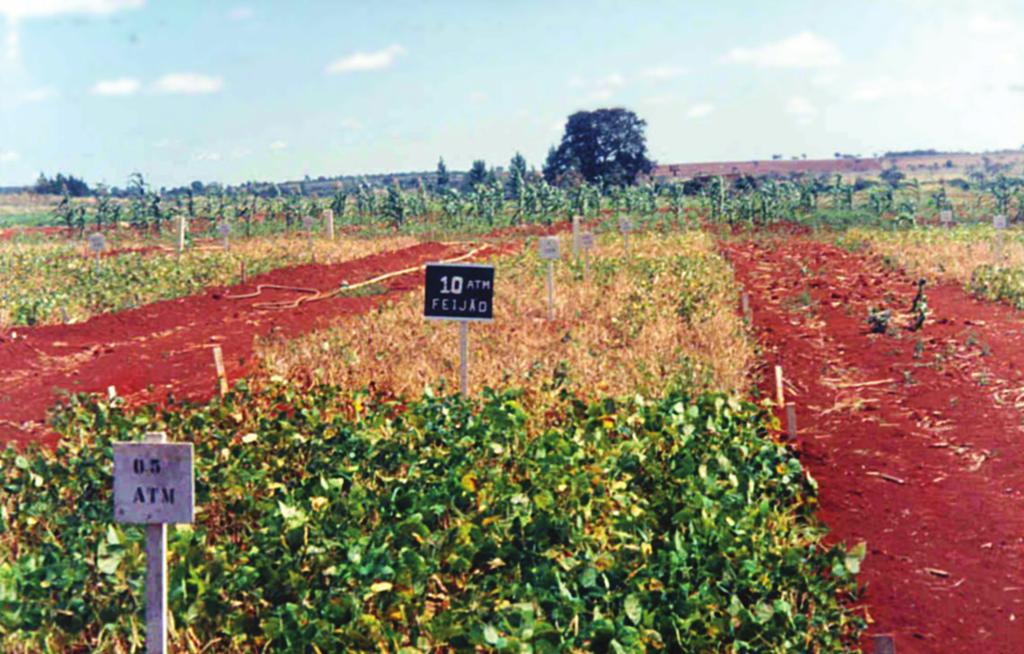 Tensão de Água no Solo para Maiores Lucratividades do Feijoeiro Irrigado em Ambiente de Cerrado 5 irrigação do trigo na região do cerrado. Pesquisa Agropecuária Brasileira, v. 9, p. 631-636, 1994.