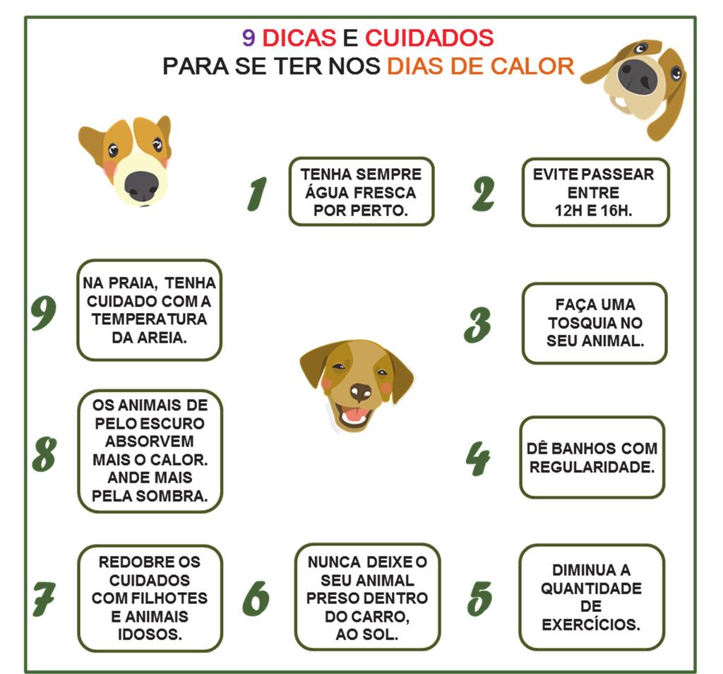 PROPOSTA 3 PRODUÇÃO TEXTUAL 2. ANO 3 Os animais também precisam de cuidados! No seu Caderno de Leitura e Matemática, na página 35, você completou a ficha do seu animalzinho.