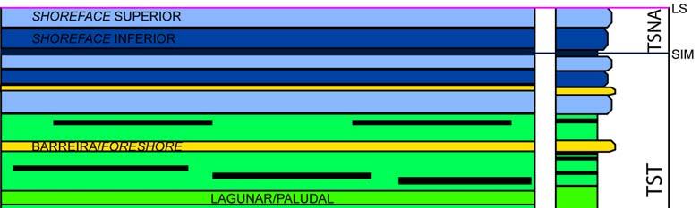 128 A evolução estratigráfica da área de estudo pode ser resumida como predominantemente transgressiva representada pelos depósitos do TST.