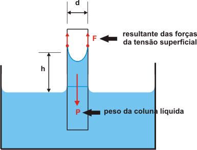 Capilaridade: ressão sobre líquidos A É o efeito do equilíbrio das forças de pressão nas diferentes áreas. A1 http://alfaconnection.net/pag_avsf/fqm0103.
