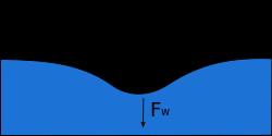 Tensão Superficial: Seção transversal de uma agulha sobre água.