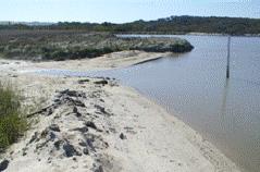 Barrinha de Esmoriz/Lagoa de Paramos (Paramos) Rede Natura 2000, REN e IBA Enorme