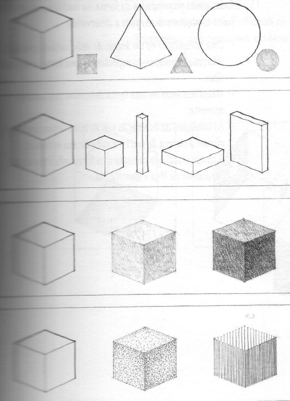 FORMA Características forma: da Formato