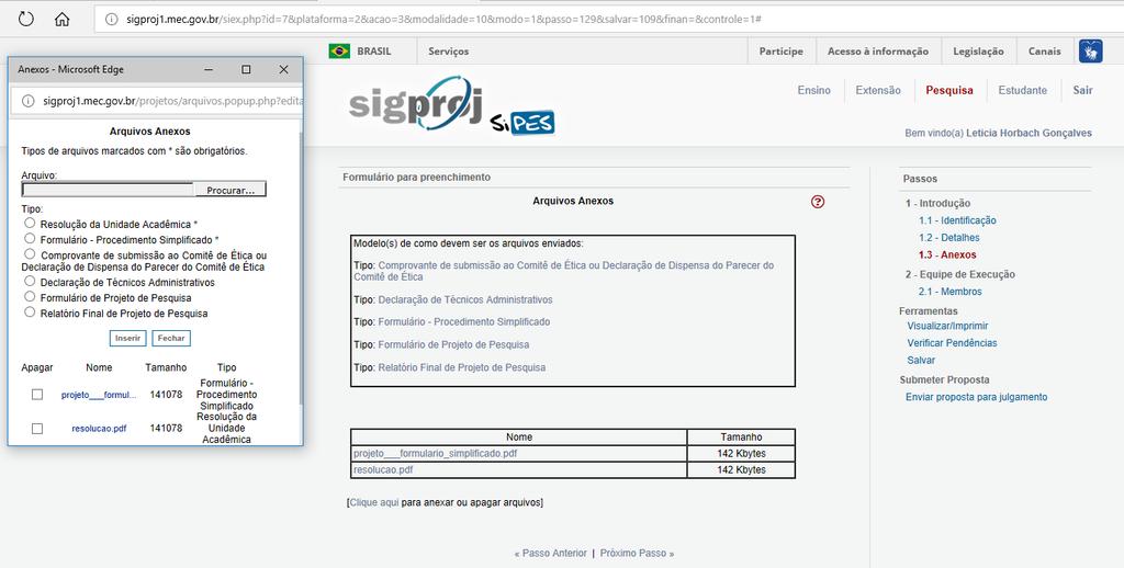 7º) Para gerenciar os anexos da proposta, clique em Clique aqui para anexar ou apagar arquivos, em seguida, escolha o tipo de arquivo, clique em Escolher