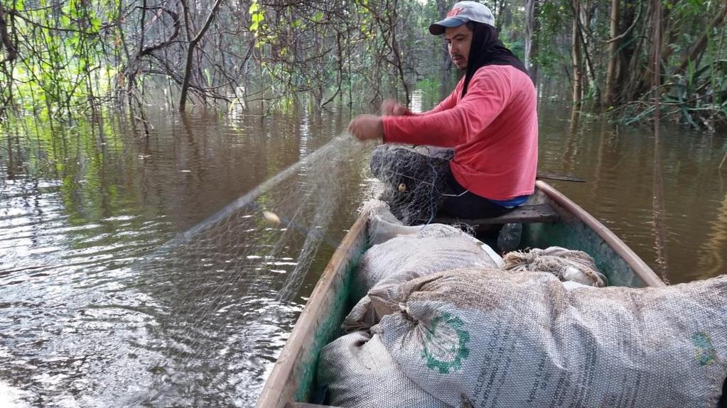 pesca artesanal no rio Araguaia (TO) 2015-2018 2.