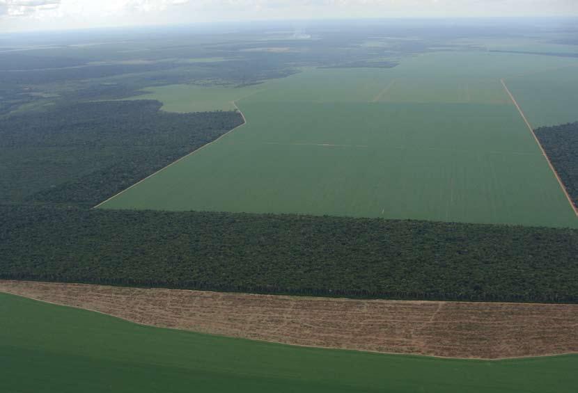 2 3º ANO DO MAPEAMENTO E MONITORAMENTO DO PLANTIO DE SOJA NO BIOMA AMAZÔNIA SUMÁRIO EXECUTIVO A Moratória da foi renovada pela terceira vez em