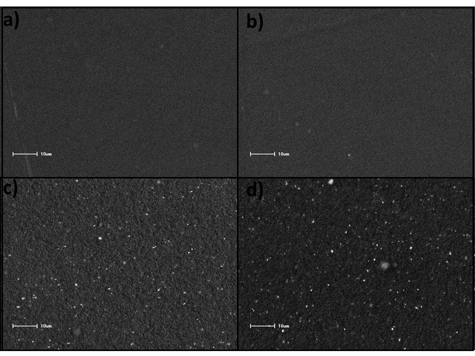 As fotomicrografias das superfícies dos filmes obtidas por Microscópio Eletrônico de Varredura (MEV), apresentaram uma distribuição homogênea das partículas de aditivo no filme como pode ser visto na
