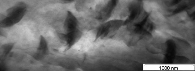 EVA + C15A Figura 4.38 Micrografia de MET do grânulo do nanocompósito de PEAD/EVA 8/C15A (80/15/5), com aumento de 25000x. O coramento com RuO 4 evidencia a presença do EVA (regiões escuras).