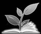 Revista Verde de Agroecologia e Desenvolvimento Sustentável V.12, Nº 3, p. 547-551, 2017 Pombal, PB, Grupo Verde de Agroecologia e Abelhas http://www.gvaa.com.br/revista/index.