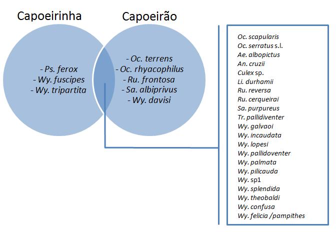 33 Figura 11. Espécies em comum e exclusivas de duas áreas da Unidade de Conservação Ambiental Desterro (UCAD), Florianópolis, SC. Encontramos neste estudo apenas um indivíduo de Oc.