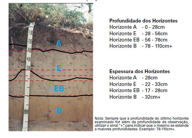 Profundidade e espessura Exemplo de tomada de profundidades e espessuras para solos