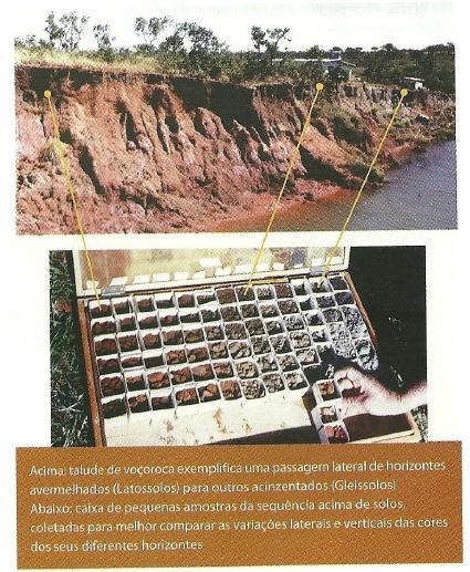 Cor do solo Talude de voçoroca mostrando a modificação da coloração do solo de avermelhado (Latossolos) a cinza (Gleissolos) Caixa de pequenas amostras da sequencia de solos.