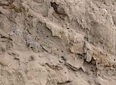 Solos de Textura Arenosa (Solos Leves) Consistência granulosa (grãos grossos, médios e finos); Alta porosidade e permeabilidade; Pouca umidade; Pobre em