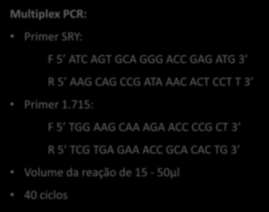 3ª Etapa: Amplificação por PCR Multiplex PCR: Primer SRY: F 5