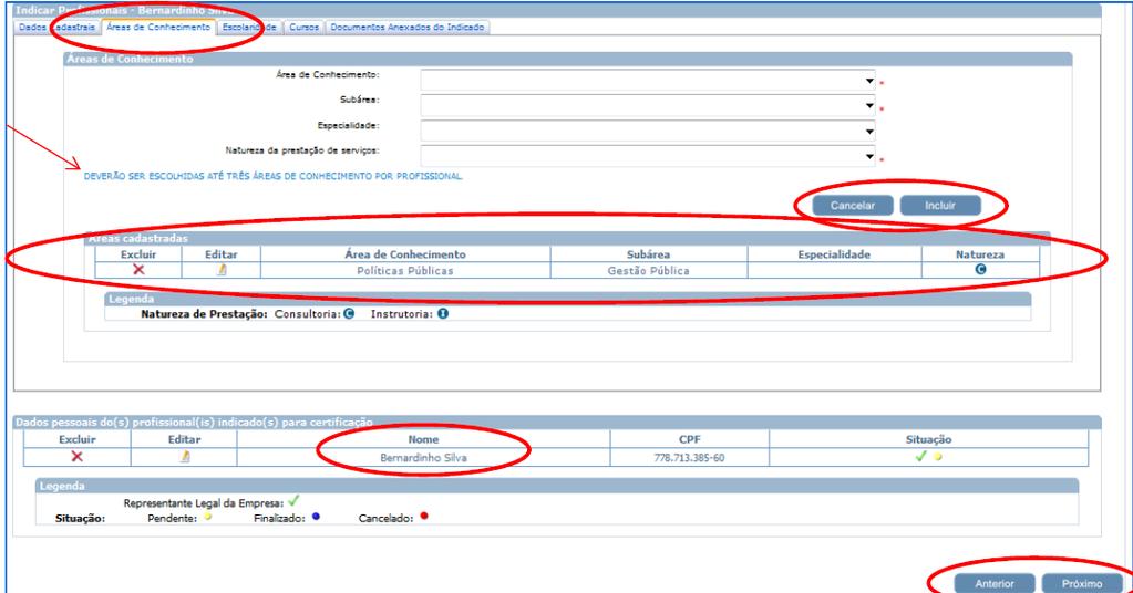 Após incluir todas as áreas/subáreas/especialidades (se houver)/natureza do profissional basta clicar em Próximo ; O candidato poderá editar o registro através do ícone e poderá excluir o registro
