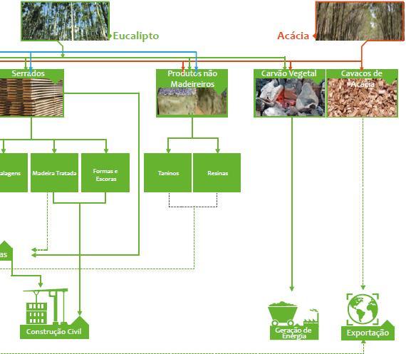 Cenário da Indústria de base florestal no RS Expectativas