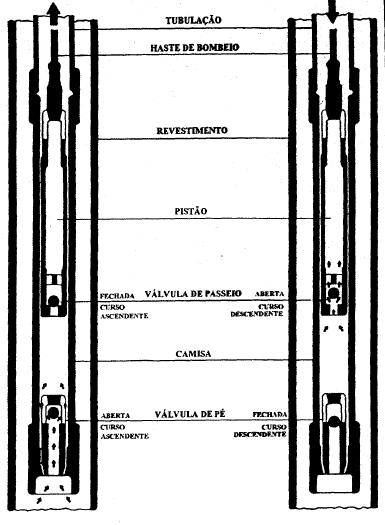 Figura 2.1. Curso ascendente e descendente (Fonte: Barreto Filho, 1993).