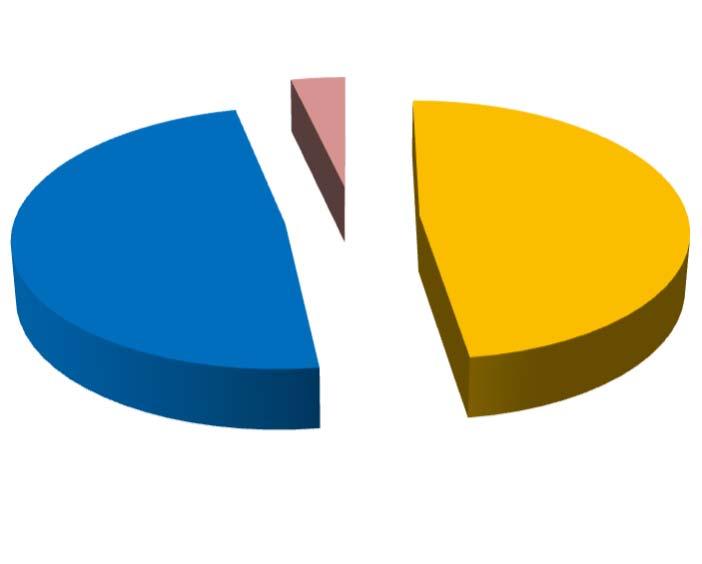 DISTRIBUIÇÃO DA CARTEIRA DE INVESTIMENTO / POR INSTITUIÇÃO FINANCEIRA www.atuarialconsultoria.com.br SEGMENTO VALOR APLICADO (em R$) Percentual sobre Patrimônio Líquido Banco do Brasil 93.514.