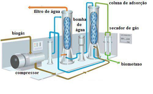 Purificação utilizando