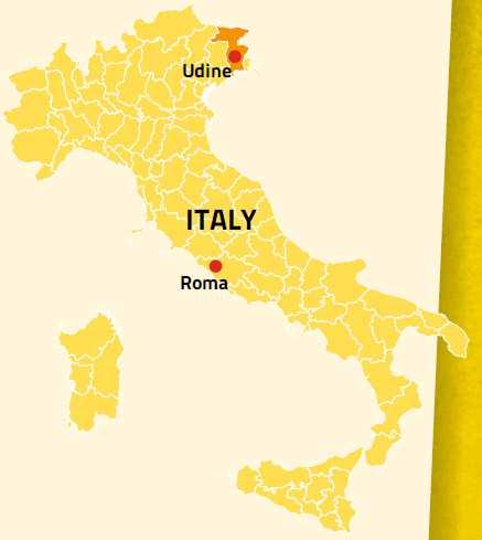 4.2/ Udine 4.2.1/ Um olhar sob o método de contratação interna de Udine Indicadores chave Superfície da cidade: 56,8 km² Habitantes: 99.000 Edifício Municipal: 250 instalações Superfície total: 174.
