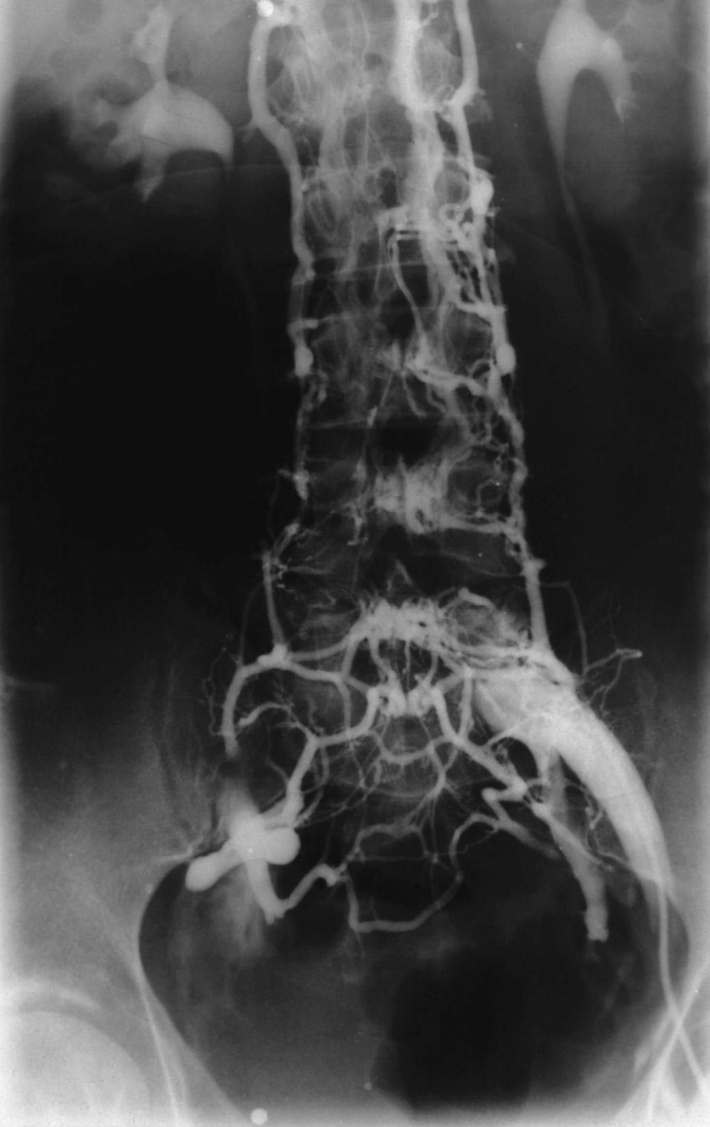 Radiologia CCIFM