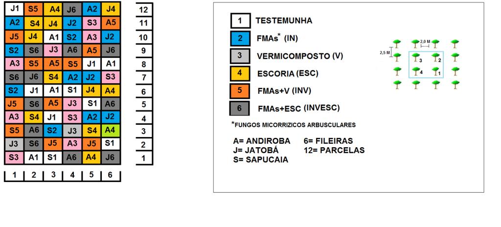 16 Figura 2 - Croqui do subprojeto Biomas -AM08 Fazenda Cristalina São Domingos do Araguaia PA.