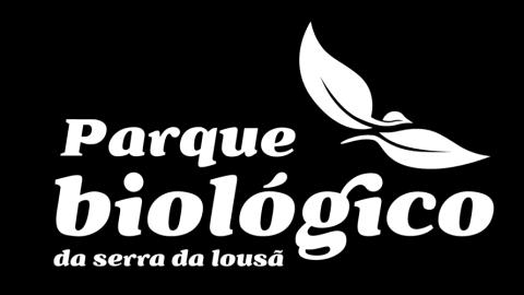 NATUREZA CULTURA GASTRONOMIA VIDA SELVAGEM DE PORTUGAL COM Área de Aves de Rapina (Deficientes) Centro de