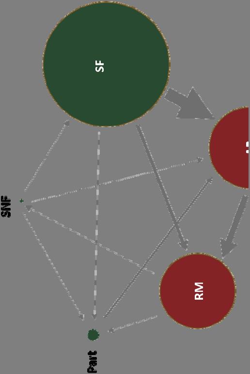 Gráficos de fluxo de fundos Relativamente às setas, estas representam as relações que se estabelecem entre os setores.