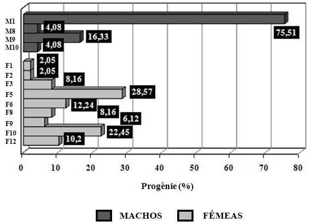 80 Fig. 2. Contribuição parental da progênie de B. orbignyanus no sistema reprodutivo seminatural.