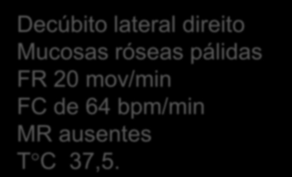 róseas pálidas FR 20 mov/min