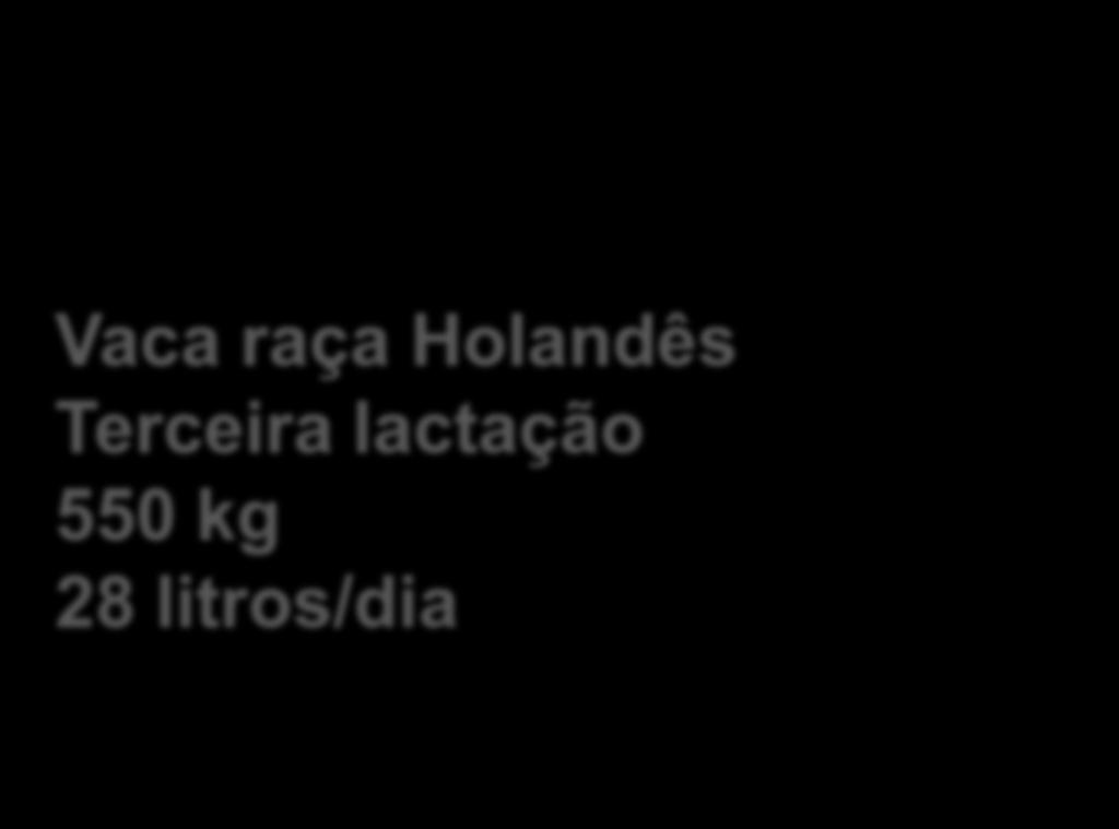 Tristeza Parasitária Bovina Vaca raça Holandês Terceira