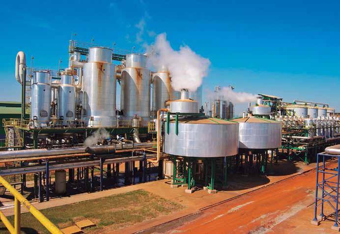 Energia - Biomassa SS Etanol é o biocombustível mais usado no Brasil e nos Estados Unidos Brasil e dos Estados Unidos; enquanto que na União Europeia o biodiesel domina o mercado de biocombustíveis