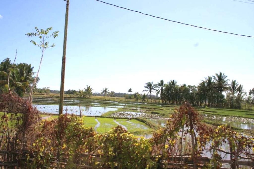 Figura 39 Percurso ao longo de extensos campos de cultivo de