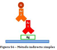 Métodos indiretos Método indireto simples Anticorpo primário Anticorpo secundário possui o marcador Mais sensível