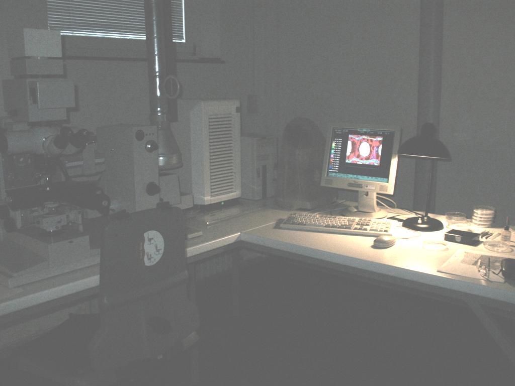 Mapping lignin in wood cell walls