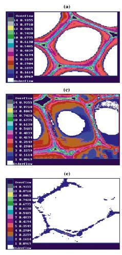 Mapping lignin in wood cell walls by UVmicrospectrophotometry Untreated P.