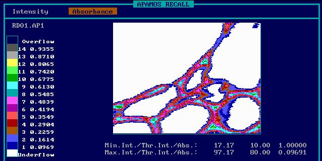 Rind Vessel (large wall) 280 nm Pith Vessel (large wall) Lower lignin