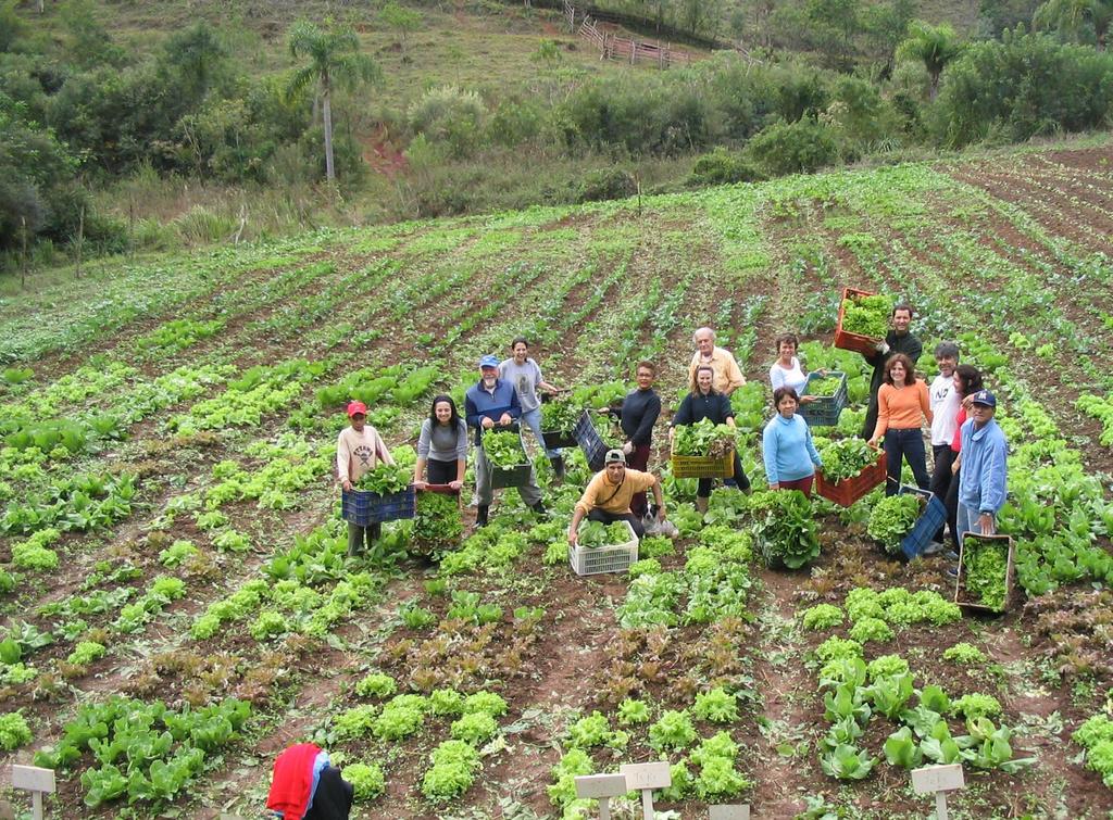 Otimismo na magnitude da Agroecologia e na capacidade prática de realização de cada agente de transformação.