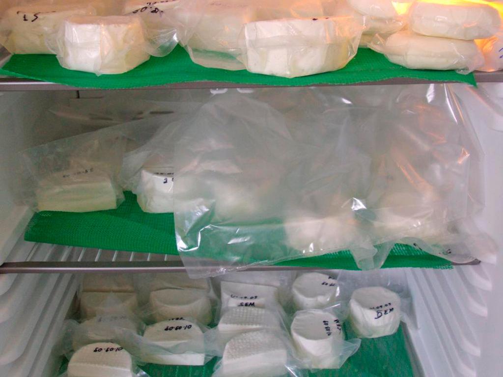 6 Processo de fabricação de queijo... Agradecimentos Fig. 18. Após embalado armazenar os queijos sob refrigeração (4±1 o C).