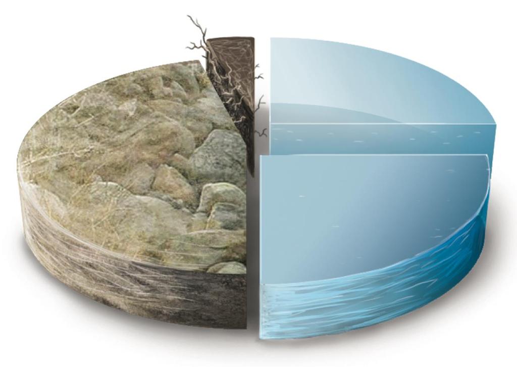 Matéria orgânica 4% Ar 25% Matéria mineral 46% Água 25%