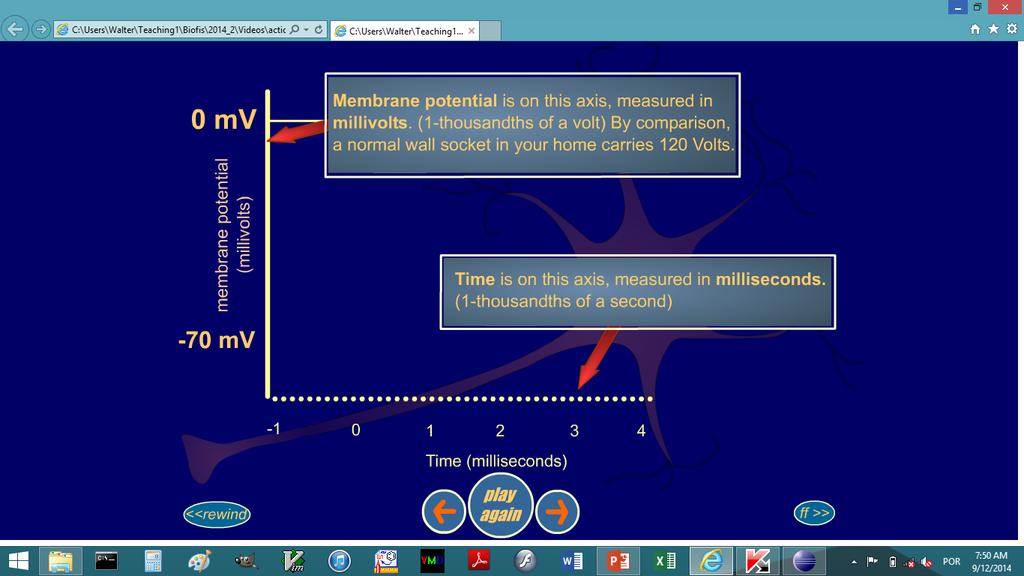 Potencial de membrana (milivolts) O potencial de membrana está no eixo y, medido em milivolts ou mv. Um milivolt é a milésima parte de um Volt, ou 10-3 V.
