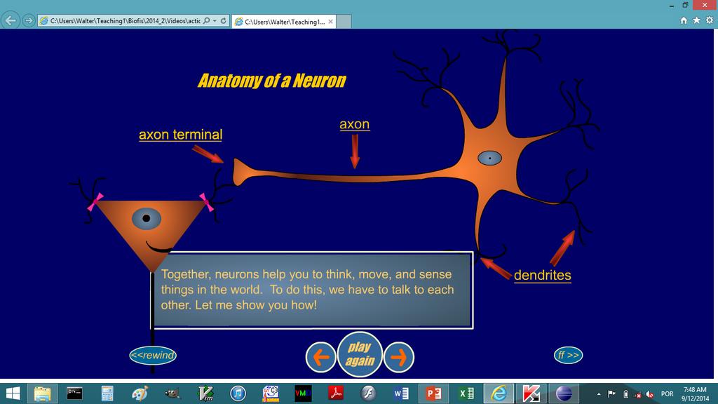 Anatomia de um neurônio Terminal axonal Axônio Neurônios são responsáveis pelo seu pensamento, movimento e